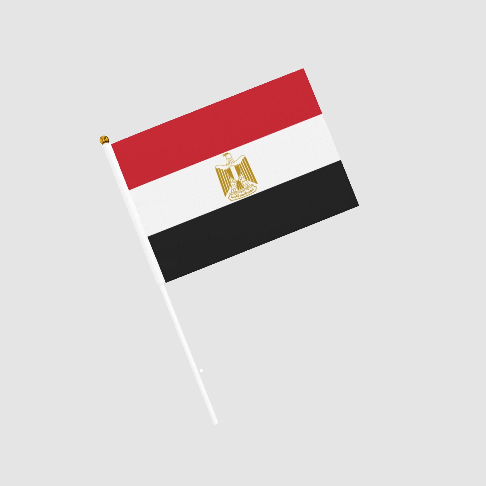 Egypt Hand Waving Flag